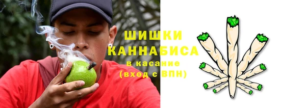 PSILOCYBIN Верхний Тагил
