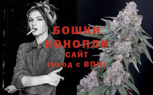 PSILOCYBIN Верхний Тагил