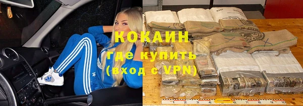 PSILOCYBIN Верхний Тагил
