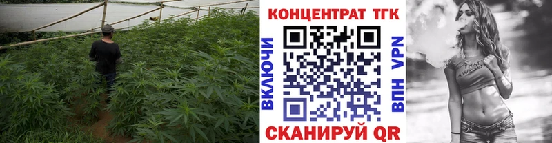 купить закладку  Тула  гидра зеркало  ТГК вейп 